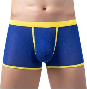 Men's Sexy Mesh See Through Underwear Low Rise Breathable Boxers Underpants Soft Comfort Breathable Boxer Briefs