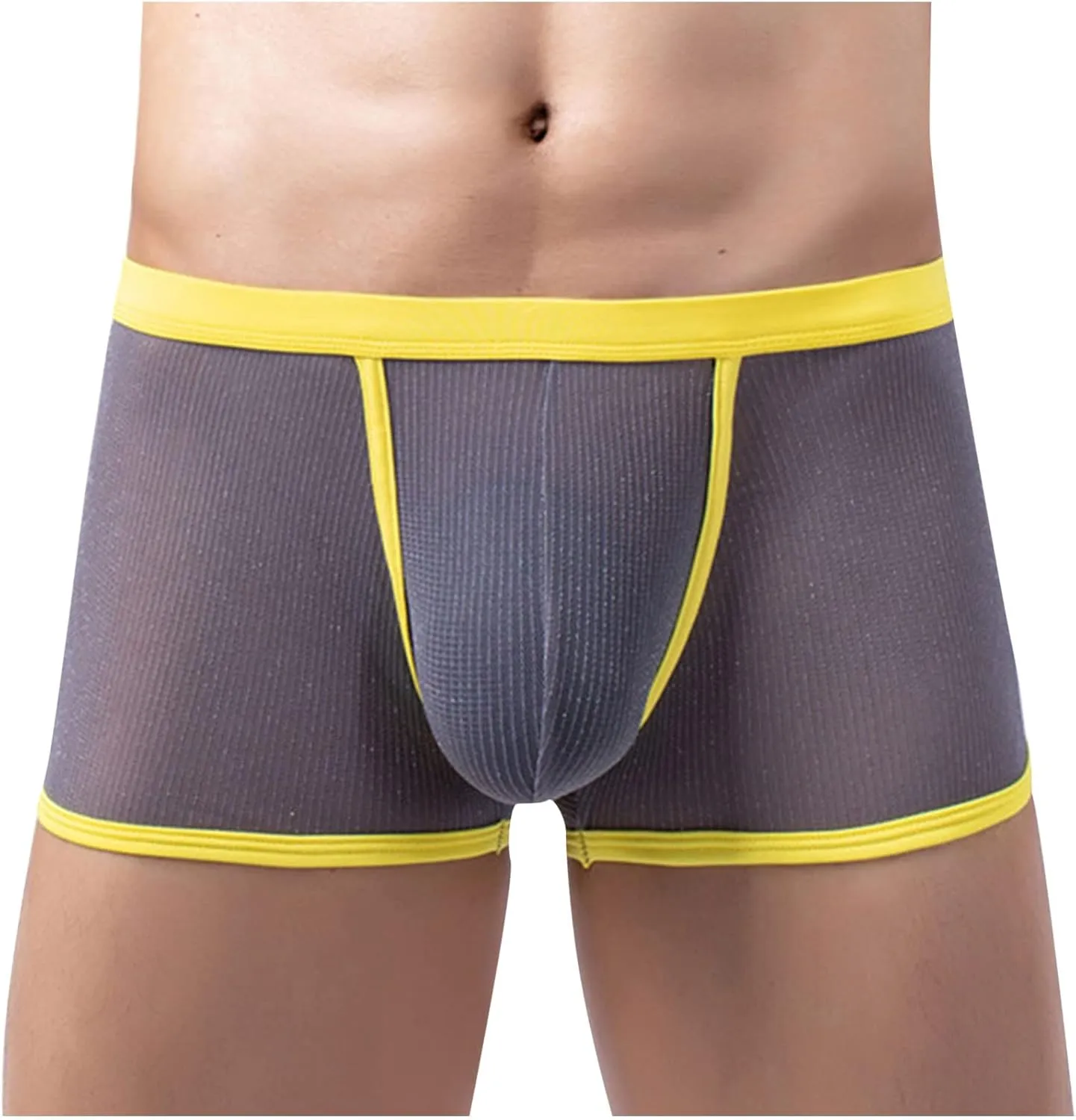 Men's Sexy Mesh See Through Underwear Low Rise Breathable Boxers Underpants Soft Comfort Breathable Boxer Briefs