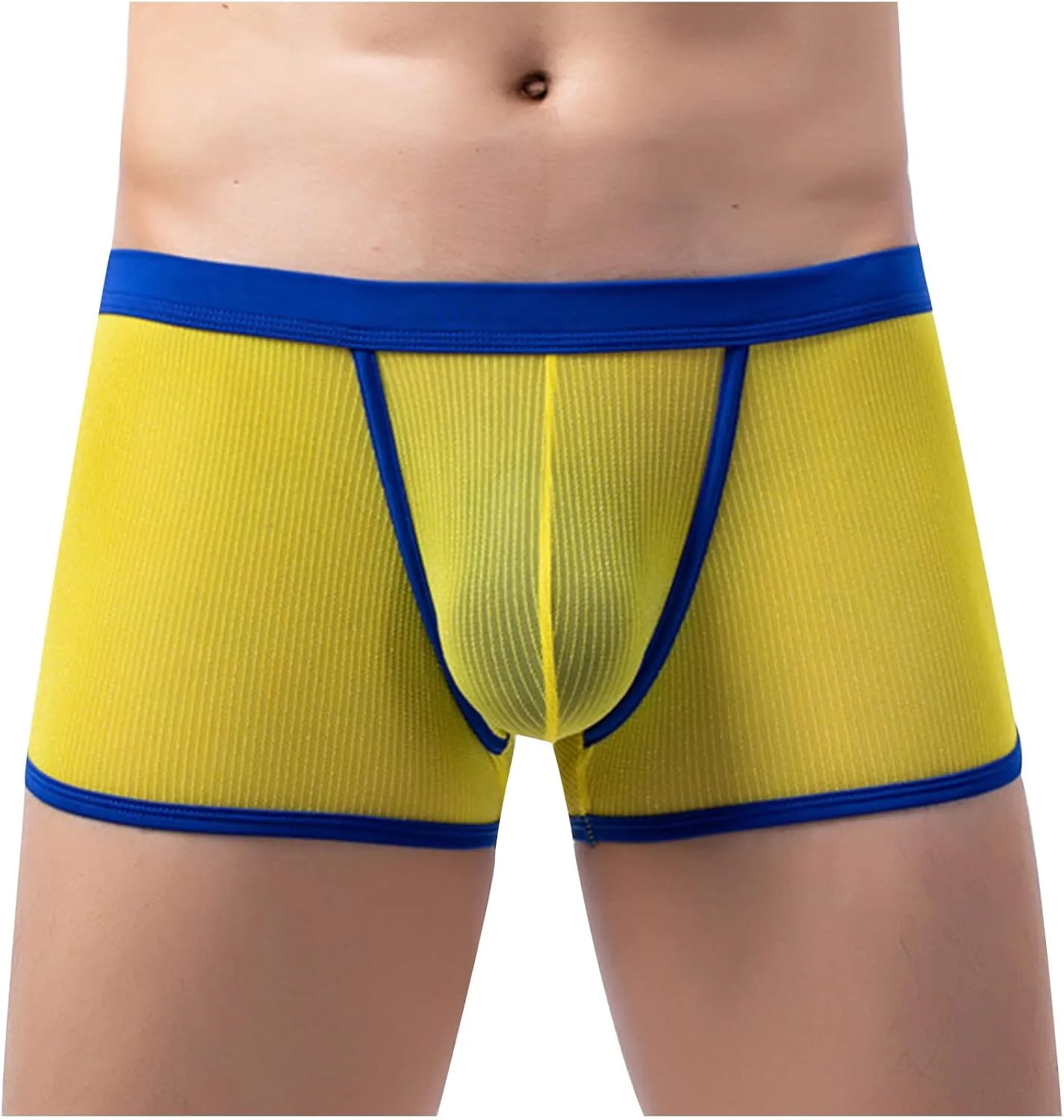Men's Sexy Mesh See Through Underwear Low Rise Breathable Boxers Underpants Soft Comfort Breathable Boxer Briefs