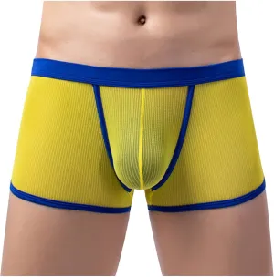 Men's Sexy Mesh See Through Underwear Low Rise Breathable Boxers Underpants Soft Comfort Breathable Boxer Briefs