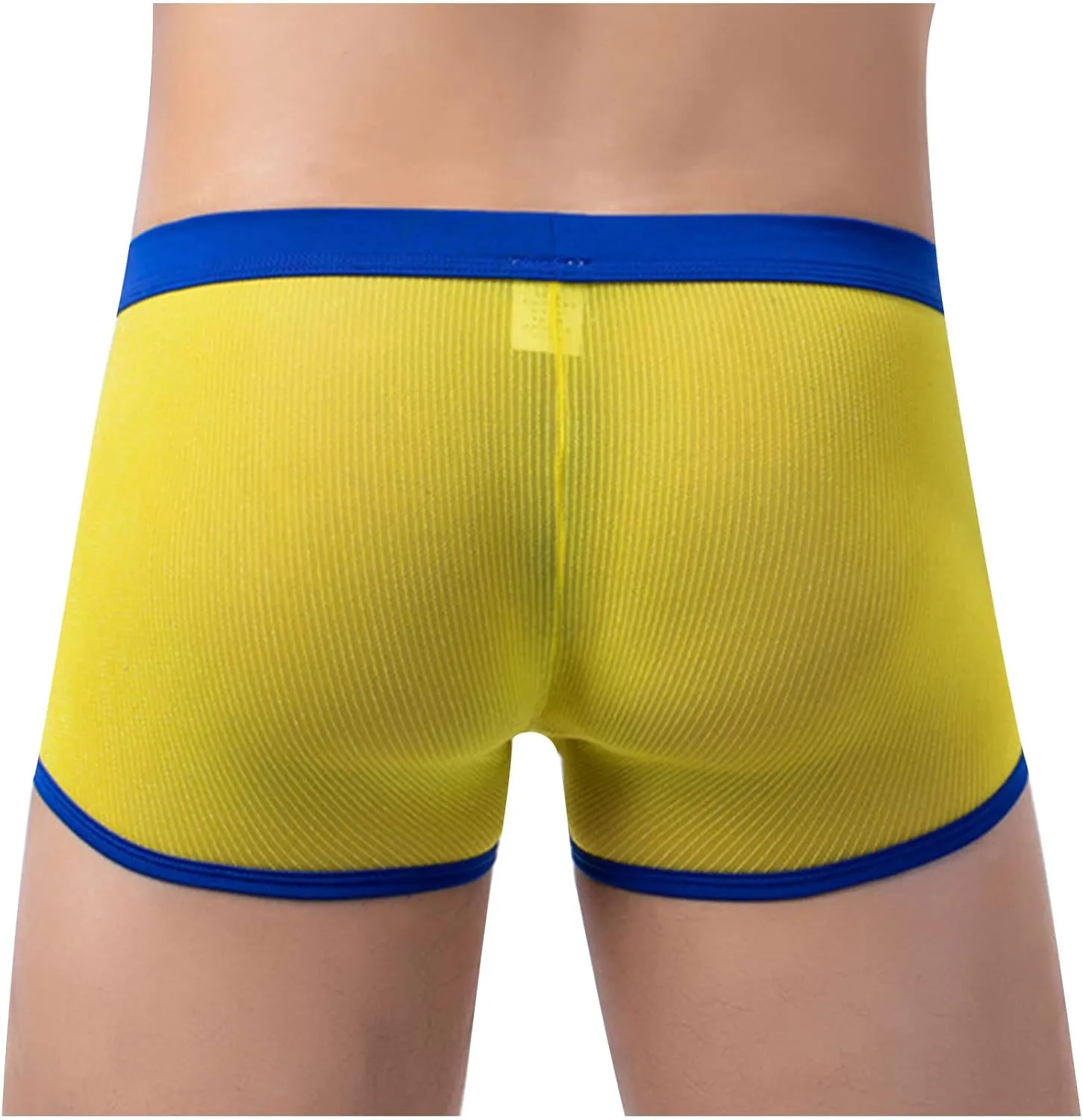 Men's Sexy Mesh See Through Underwear Low Rise Breathable Boxers Underpants Soft Comfort Breathable Boxer Briefs