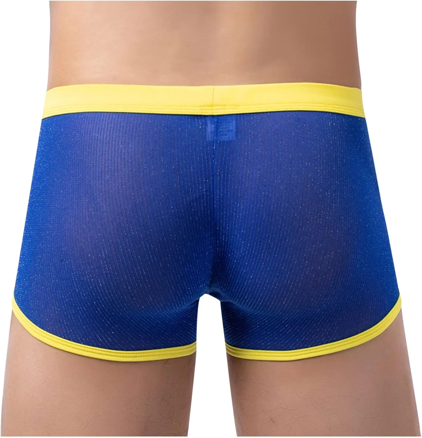 Men's Sexy Mesh See Through Underwear Low Rise Breathable Boxers Underpants Soft Comfort Breathable Boxer Briefs