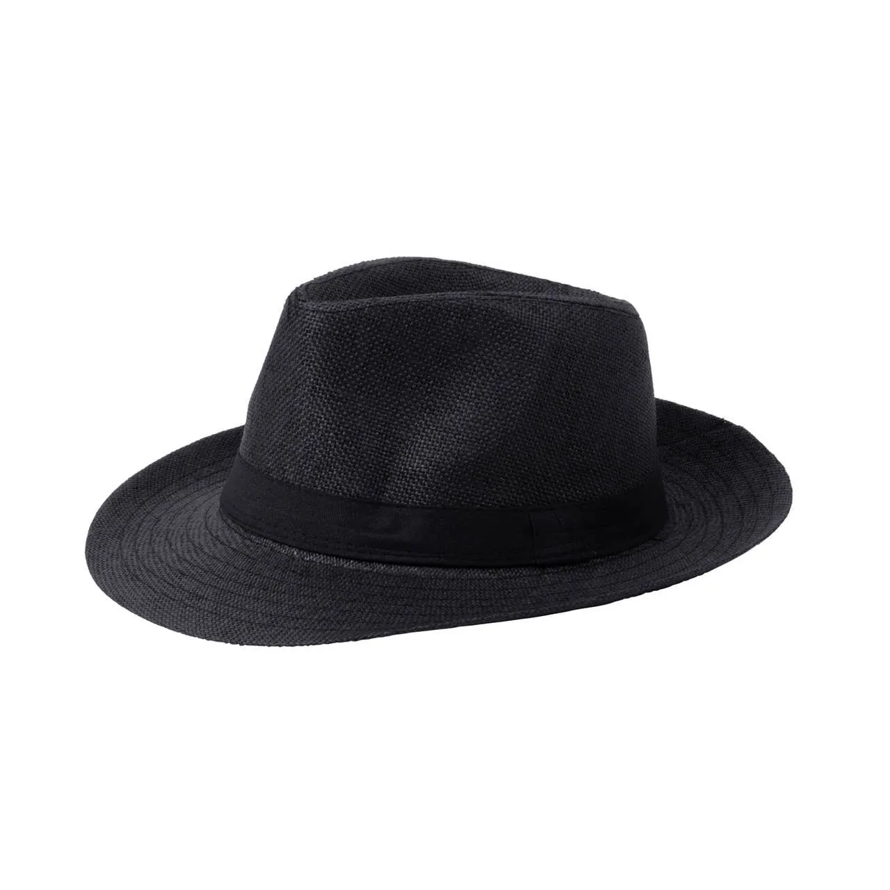 Spring/Summer Wide Brim Fedora