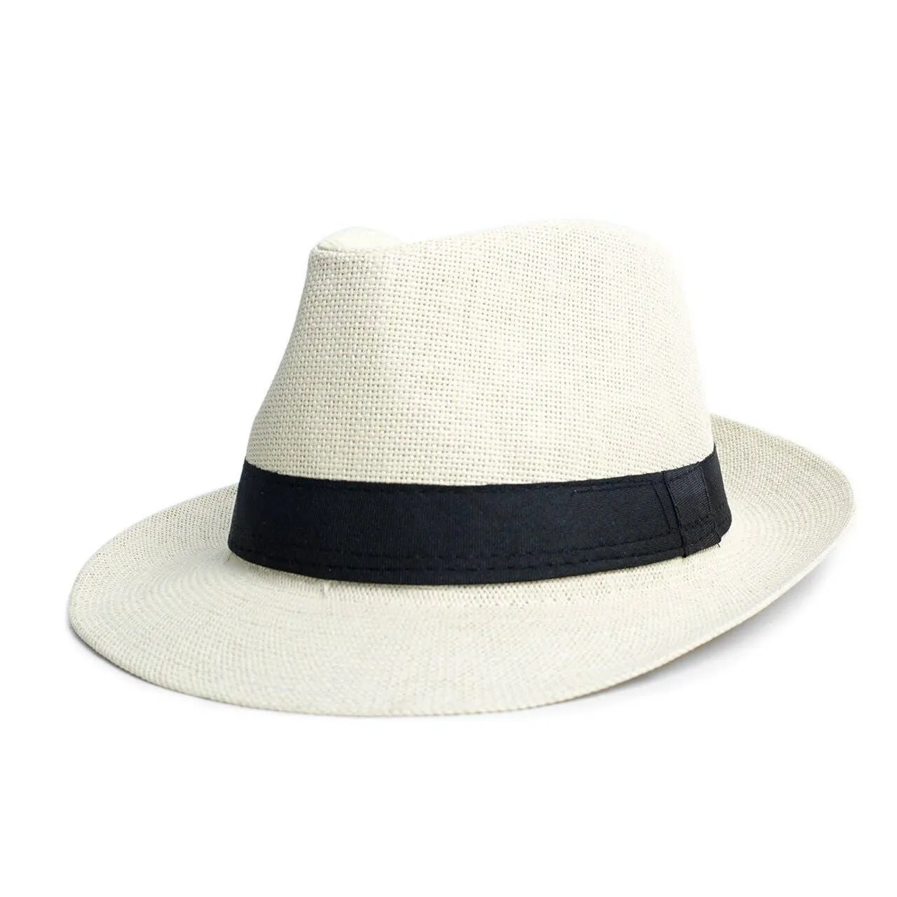 Spring/Summer Wide Brim Fedora